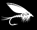 MASTER FLY FOR WEBSITE #2.png
