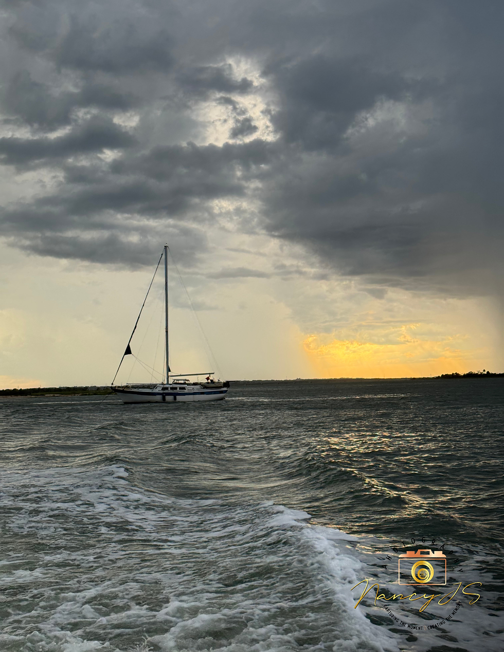 Off the coast of Tybee Island, Georgia.