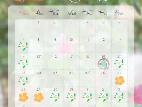 12月のお知らせ