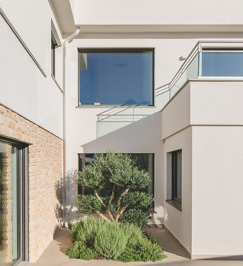 patio con olivo y piedra arquitectura candal jareño.jpg