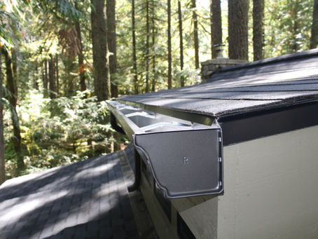 A Brief Guide to Gutter Cleaning and Maintenance in the Pacific Northwest