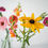 Thumbnail: Bud Vases