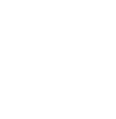 shroom-logo-web.png