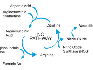 Erezione e disfunzione erettile - La Citrullina è il coadiuvante del futuro