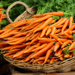 Carrots