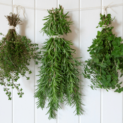 Fresh herbs