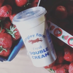 Double Cream
