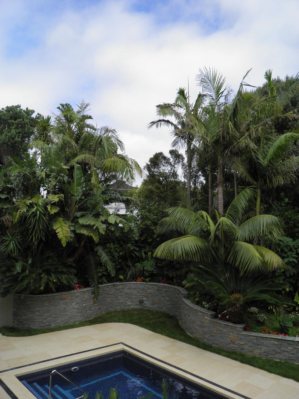 Subtropical themed planting