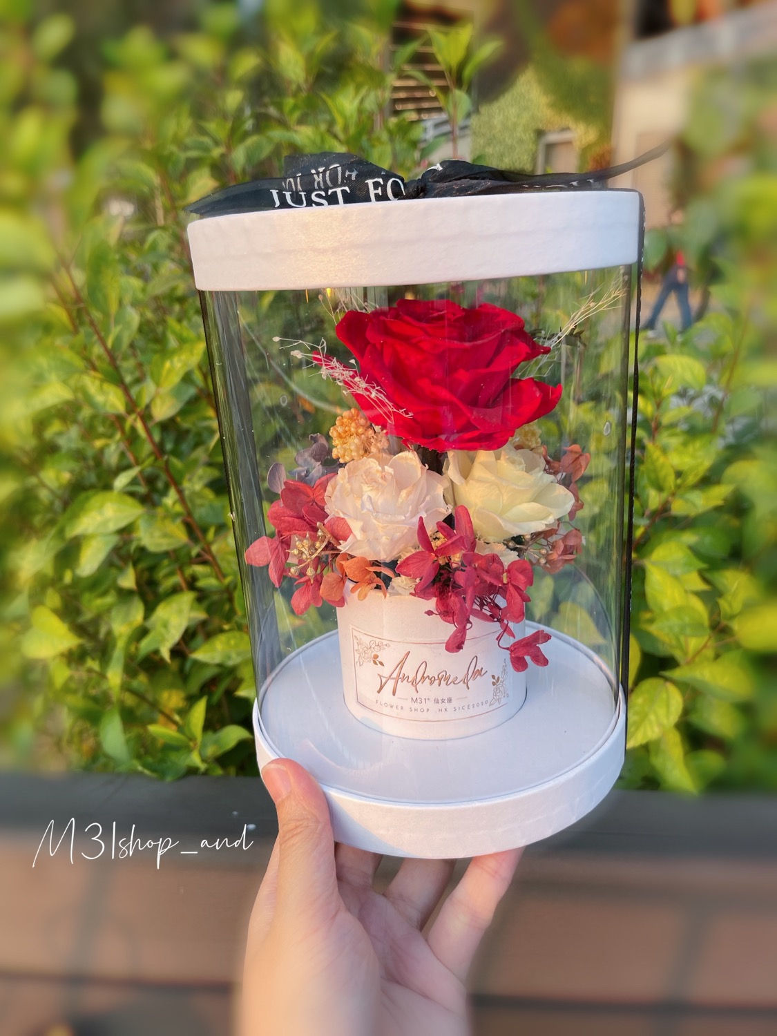 公主系列花筒 《美女與野獸》