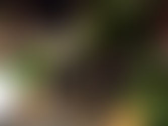 Keep the Spark Alive: Beautification and Placemaking Between Events