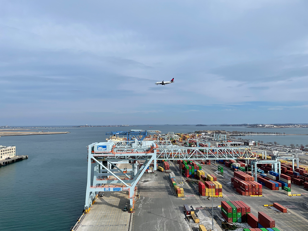 Shuttle boom container cranes suitable for ports with height restrictions. Airplane is shown flying above the STS container cranes.