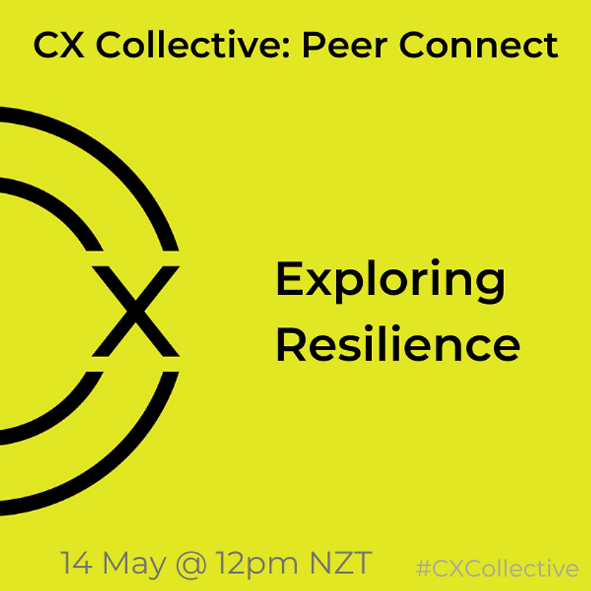 Peer Connect: Exploring Resilience