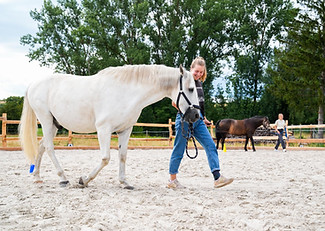 WhatsApp Image 2026-01-03 at 19.48.44.jpeg