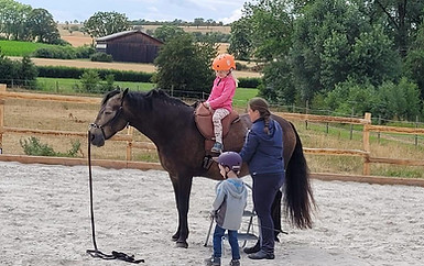 WhatsApp Image 2026-01-03 at 19.47.58.jpeg