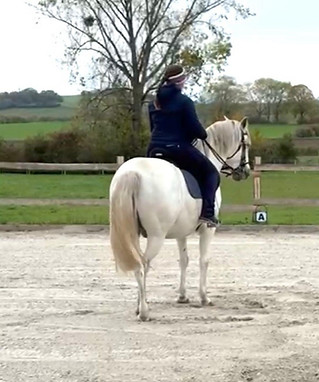 WhatsApp Image 2026-01-03 at 20.13.15.jpeg