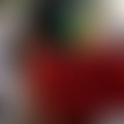 The battle over "Woke Culture"; When being bludgeoned into submission split America in two.