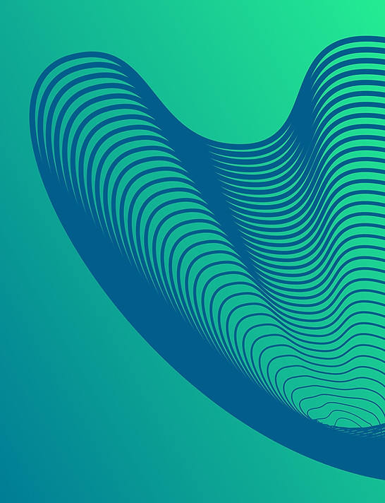 Wavy Net