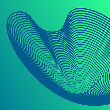 Wavy Net