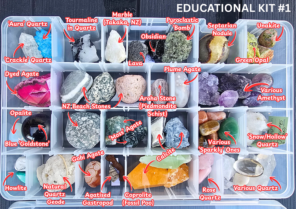 Educational Collection 1 Labeled (Large).png
