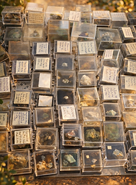 Wells Micromineral Collection Enhanced (Large).png