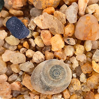 Kaiteriteri Beach Coarse Sand NZ
