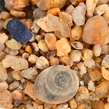 Kaiteriteri Beach Coarse Sand NZ