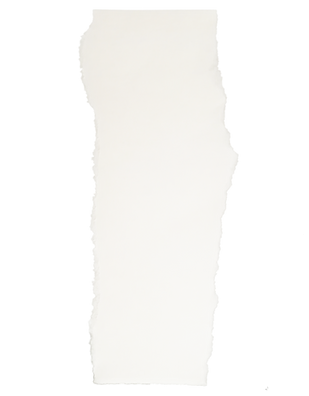 TRANSPARANT PAPIER LANGWERPIG.png