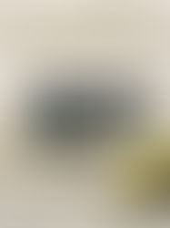 Copacabana Palace une forças com Parley for the Oceans para impulsionar esforços de conservação liderados pela comunidade no Brasil