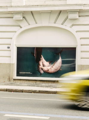 Copacabana Palace une forças com Parley for the Oceans para impulsionar esforços de conservação liderados pela comunidade no Brasil