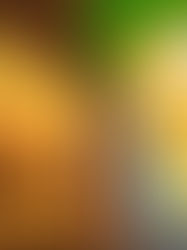 "Terra Prometida”, livro de Alba Michele, traz um mergulho nas complexidades das comunidades do Rio de Janeiro