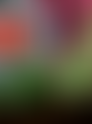 Pepper Spray, o Maior Tributo ao Red Hot Chili Peppers do Brasil