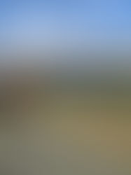 Filipe Masetti lança o terceiro livro da trilogia Cavaleiro das Américas