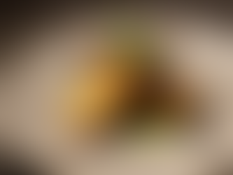 O BRASIL À MESA: A NOVA SOFISTICAÇÃO DA GASTRONOMIA CONTEMPORÂNEA