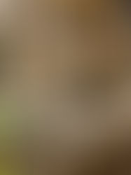 Colline de France é eleito o melhor hotel do mundo