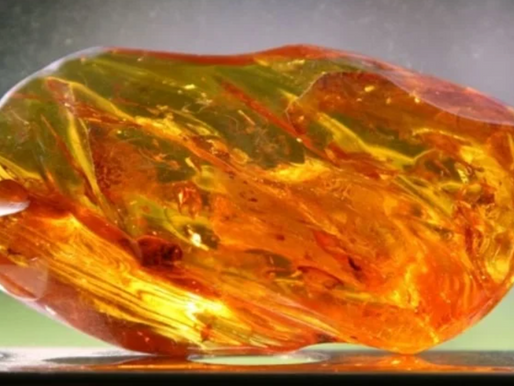 Pepita de âmbar avaliada em R$ 6,2 milhões foi usada durante décadas como peso de porta