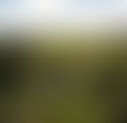 Trem Republicano lança pacote bate e volta saindo de São Paulo