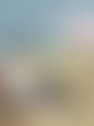 Recordista Mundial do Surf Arno Anhelli se prepara em Abu Dhabi para conquista de novo Record