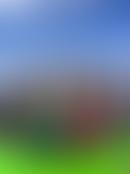 インド人に騙され3680mヒマラヤ登山