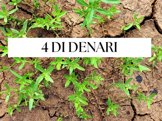 Il 4 di Denari nei Tarocchi: significati e chiavi di lettura