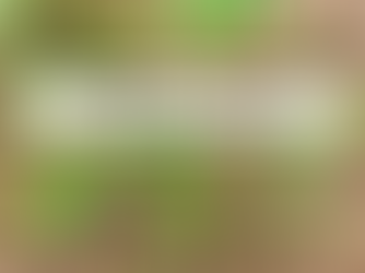 3 di Denari nei Tarocchi: significato e interpretazione