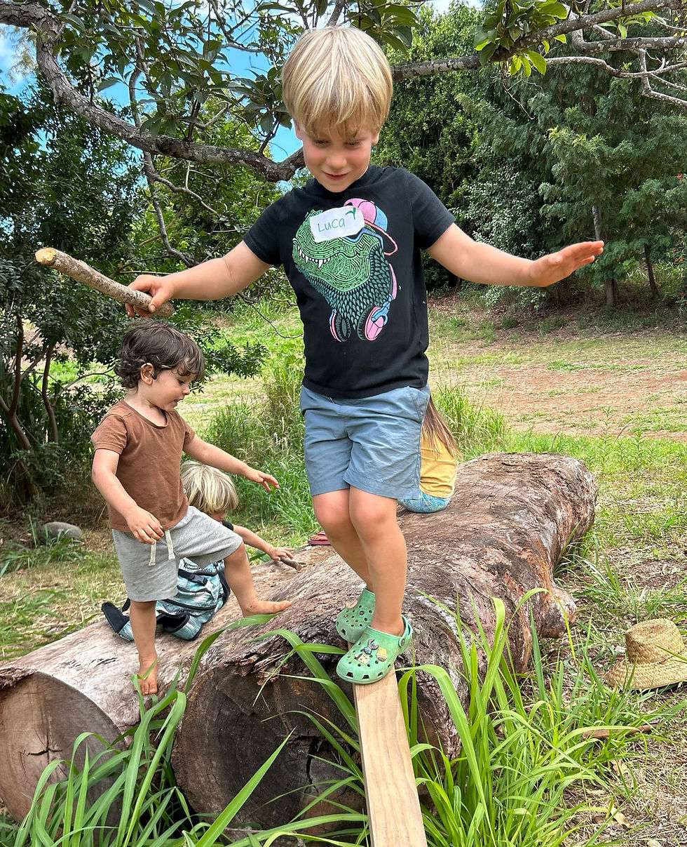 Balance Beam -- Beast Mode
