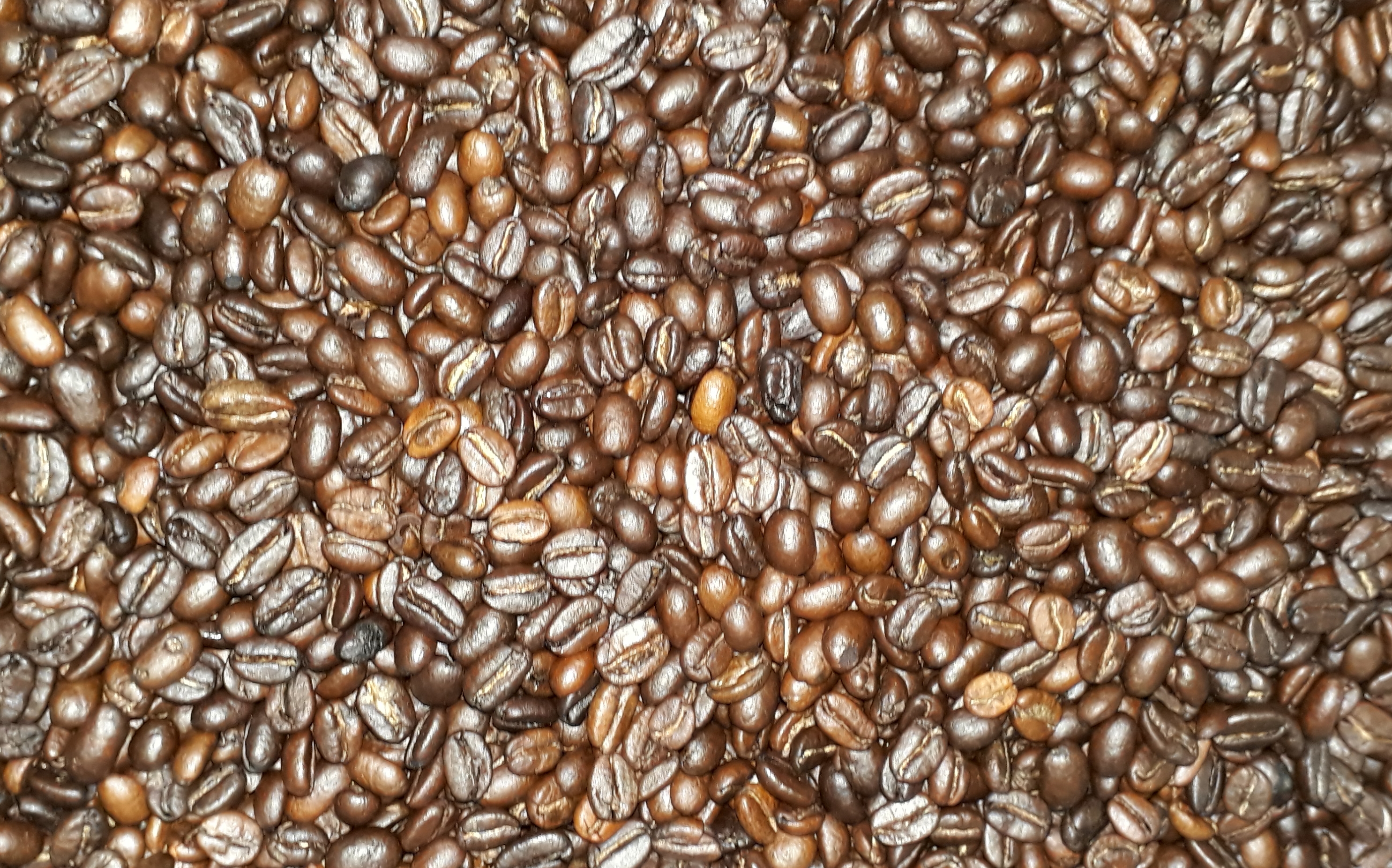 Hand Roasted Coffee