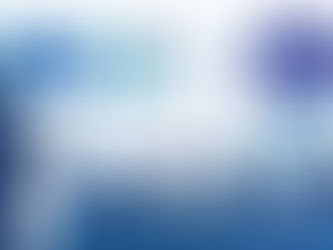 The CEO as a Statesman: Situational Awareness is a Crucial Skill Executives Need to Successfully Navigate Politics