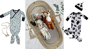 Remove background project-9 (1).png