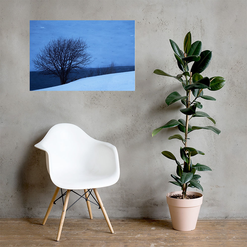 Miniaturbild: Reschenpass / Baum über zugefrohrener Heidersee (Poster)