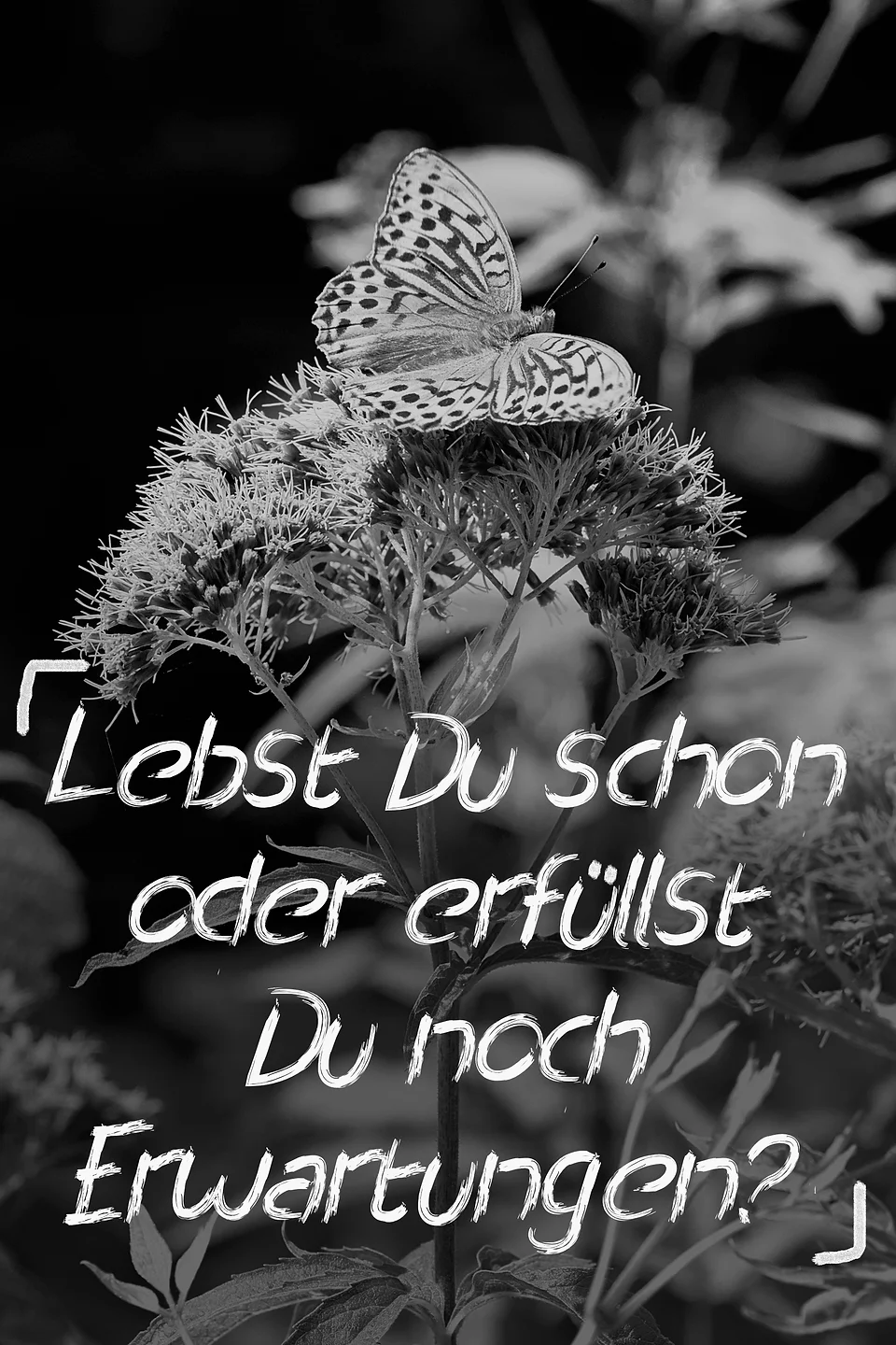 Get Als du damals sprueche For Android Free Als Du Damals Sprueche