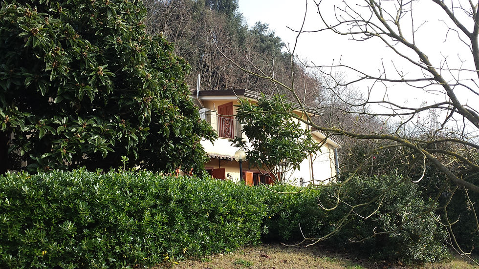 20140116_105312.jpg