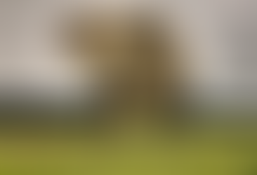 Wildlife Trafficking Exhibit