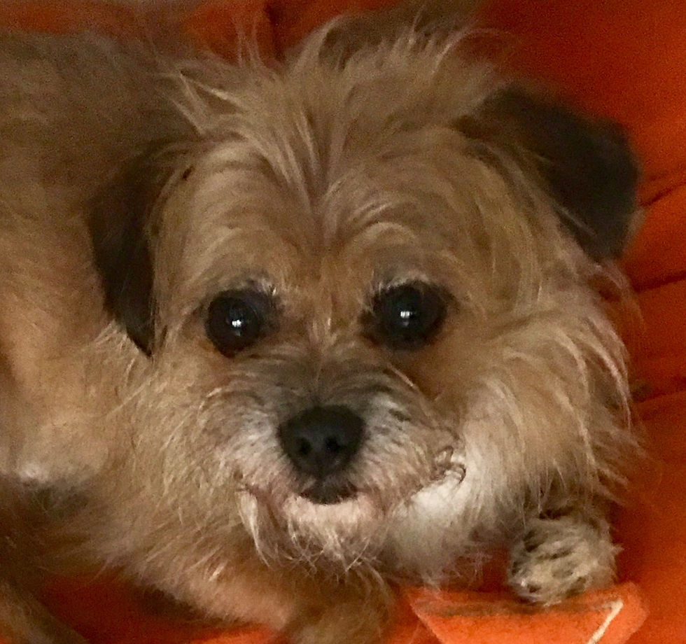 Benson1