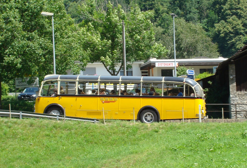 Barenco Domenico FBW 1959